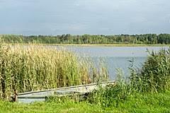 Rezerwat przyrody Stawinoga